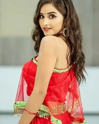 Call Girls Service Salanpur